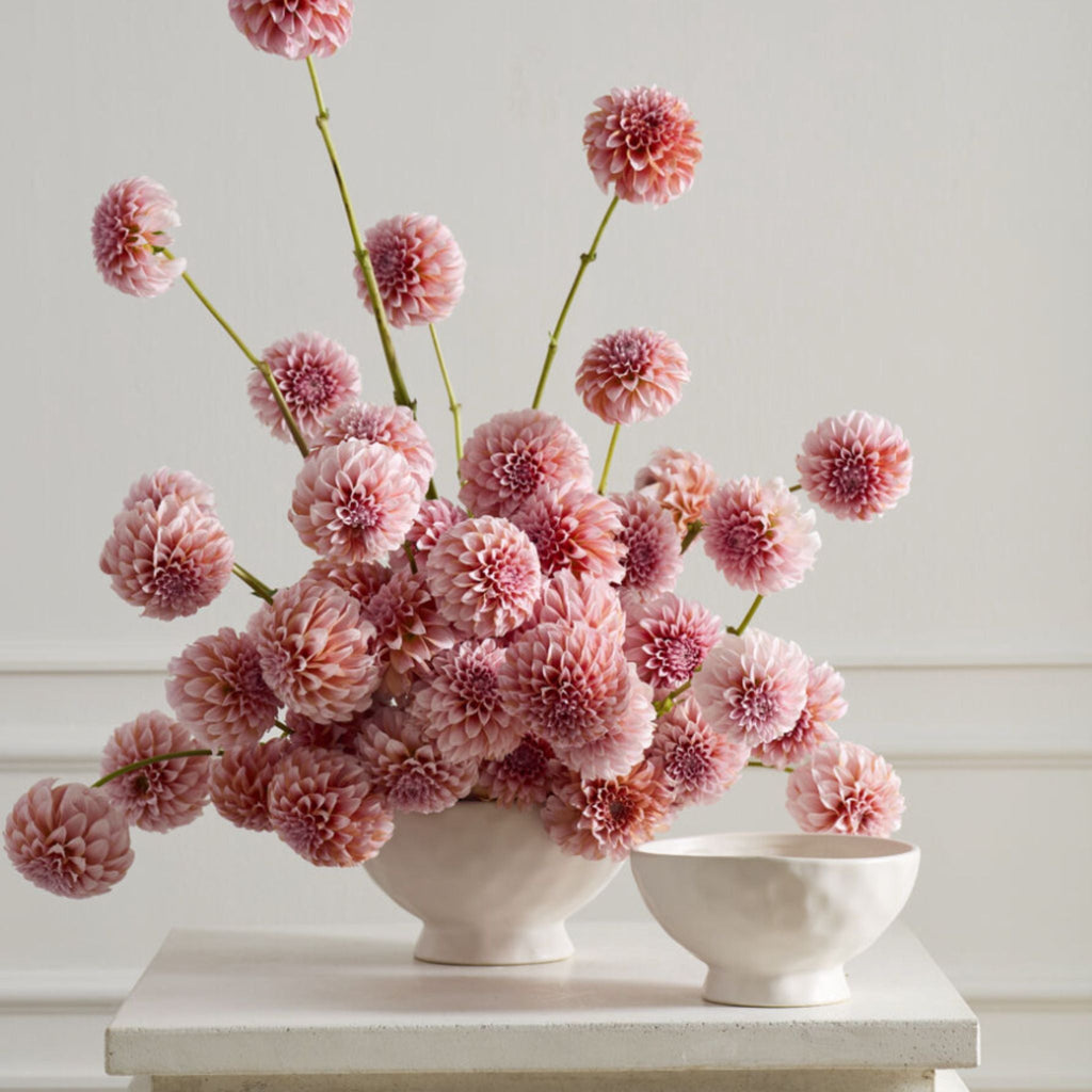 LOUISE COMPOTE